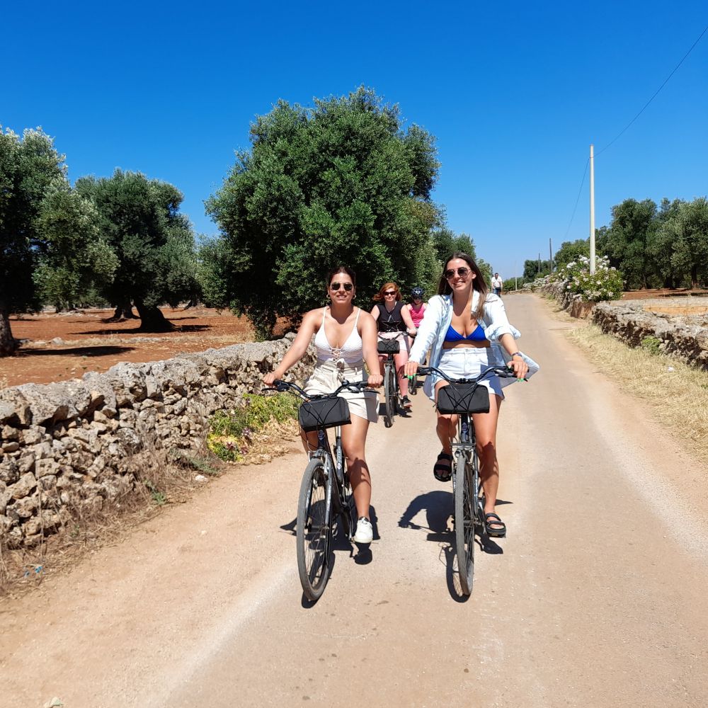 madera bike tours